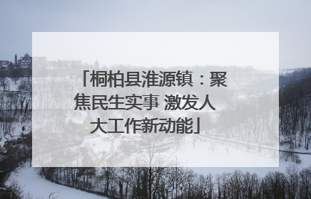 桐柏县淮源镇：聚焦民生实事 激发人大工作新动能