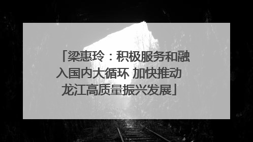 梁惠玲：积极服务和融入国内大循环 加快推动龙江高质量振兴发展