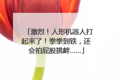 激烈！人形机器人打起来了！拳拳到铁，还会拍屁股挑衅……