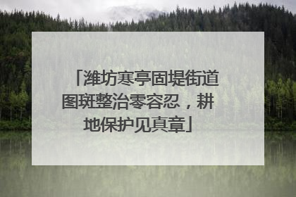 潍坊寒亭固堤街道图斑整治零容忍，耕地保护见真章