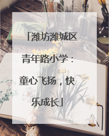 潍坊潍城区青年路小学：童心飞扬，快乐成长