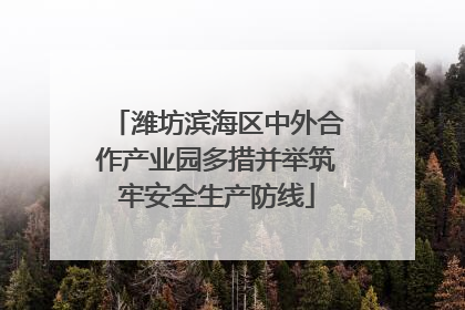 潍坊滨海区中外合作产业园多措并举筑牢安全生产防线