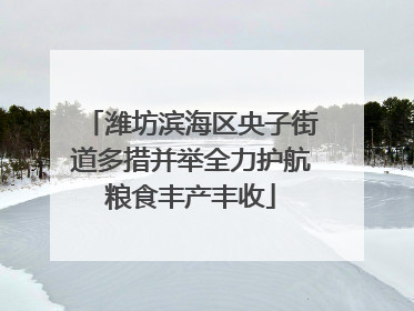 潍坊滨海区央子街道多措并举全力护航粮食丰产丰收