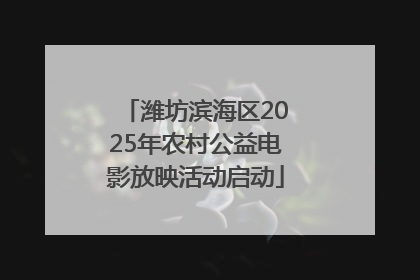 潍坊滨海区2025年农村公益电影放映活动启动