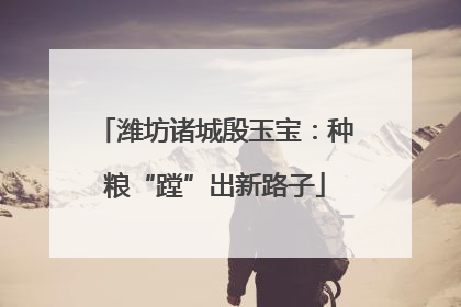 潍坊诸城殷玉宝：种粮“蹚”出新路子