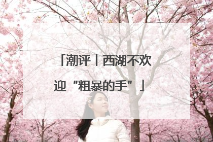 潮评丨西湖不欢迎“粗暴的手”