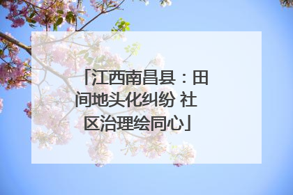 江西南昌县：田间地头化纠纷 社区治理绘同心
