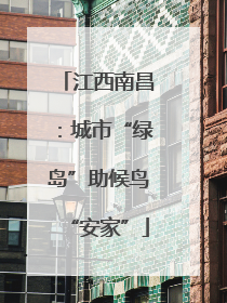 江西南昌：城市“绿岛”助候鸟“安家”