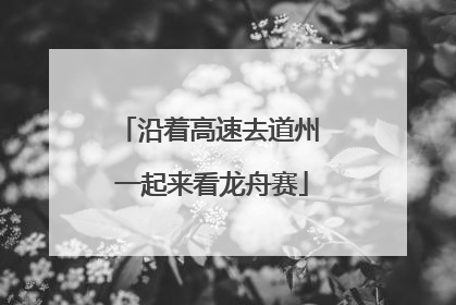 沿着高速去道州 一起来看龙舟赛