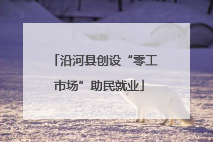 沿河县创设“零工市场”助民就业