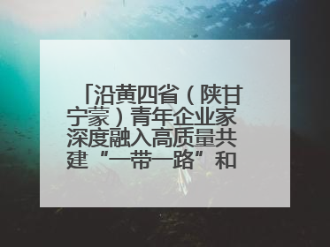 沿黄四省（陕甘宁蒙）青年企业家深度融入高质量共建“一带一路”和西部陆海新通道建设战略合作交流会在甘肃兰州召开