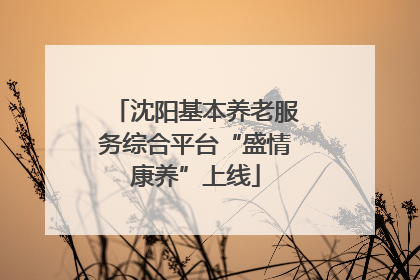 沈阳基本养老服务综合平台“盛情康养”上线