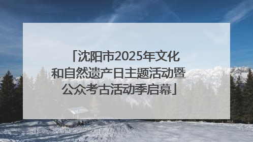 沈阳市2025年文化和自然遗产日主题活动暨公众考古活动季启幕