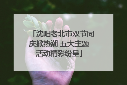 沈阳老北市双节同庆掀热潮 五大主题活动精彩纷呈