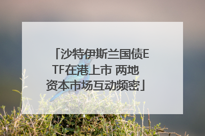 沙特伊斯兰国债ETF在港上市 两地资本市场互动频密