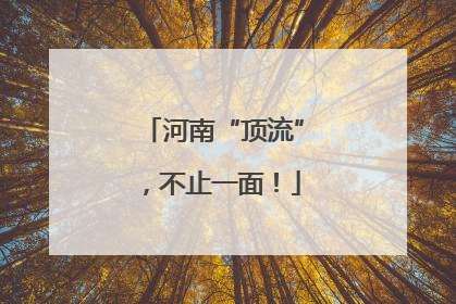 河南“顶流”，不止一面！