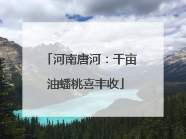 河南唐河：千亩油蟠桃喜丰收