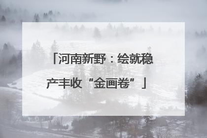 河南新野：绘就稳产丰收“金画卷”