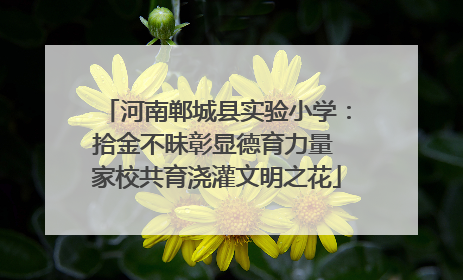 河南郸城县实验小学：拾金不昧彰显德育力量 家校共育浇灌文明之花