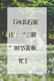 河北石家庄：“三夏”时节麦收忙