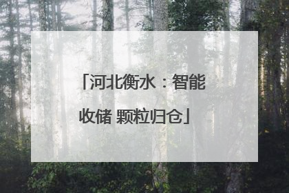 河北衡水：智能收储 颗粒归仓