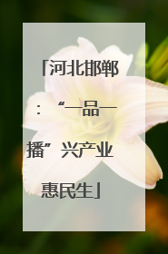 河北邯郸：“一品一播”兴产业惠民生