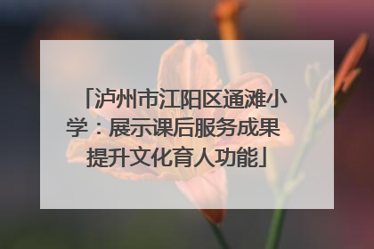 泸州市江阳区通滩小学：展示课后服务成果 提升文化育人功能