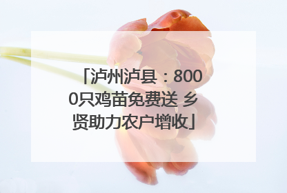 泸州泸县：8000只鸡苗免费送 乡贤助力农户增收