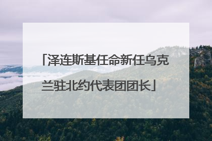 泽连斯基任命新任乌克兰驻北约代表团团长