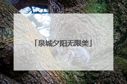 泉城夕阳无限美