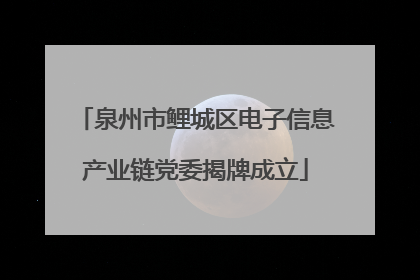 泉州市鲤城区电子信息产业链党委揭牌成立