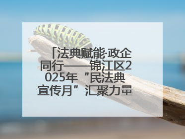 法典赋能·政企同行——锦江区2025年“民法典宣传月”汇聚力量 助推企业发展