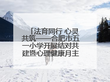 法育同行 心灵共筑——合肥市五一小学开展结对共建暨心理健康月主题活动