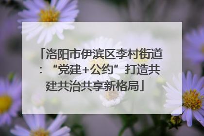 洛阳市伊滨区李村街道：“党建+公约”打造共建共治共享新格局
