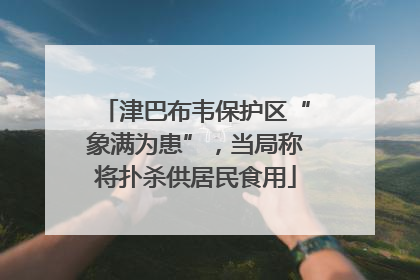 津巴布韦保护区“象满为患”，当局称将扑杀供居民食用
