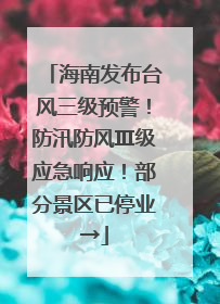 海南发布台风三级预警！防汛防风Ⅲ级应急响应！部分景区已停业→