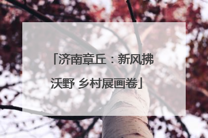 济南章丘：新风拂沃野 乡村展画卷