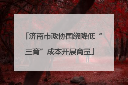 济南市政协围绕降低“三育”成本开展商量