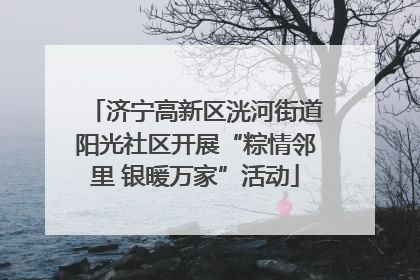 济宁高新区洸河街道阳光社区开展“粽情邻里 银暖万家”活动