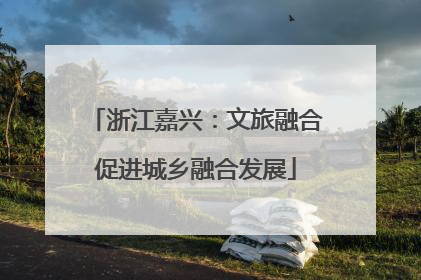 浙江嘉兴：文旅融合促进城乡融合发展