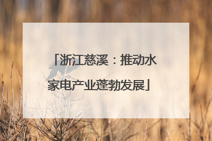 浙江慈溪：推动水家电产业蓬勃发展
