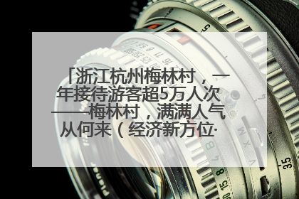 浙江杭州梅林村，一年接待游客超5万人次——梅林村，满满人气从何来（经济新方位·农村消费观察）