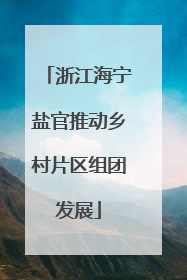 浙江海宁盐官推动乡村片区组团发展