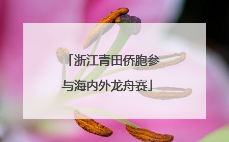 浙江青田侨胞参与海内外龙舟赛