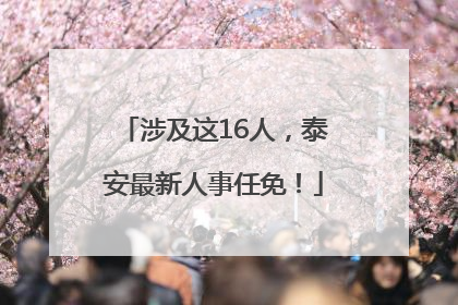 涉及这16人，泰安最新人事任免！