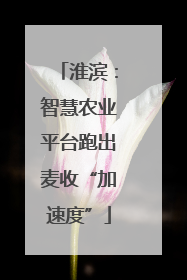 淮滨：智慧农业平台跑出麦收“加速度”