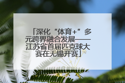 深化“体育+”多元跨界融合发展——江苏省首届匹克球大赛在无锡开赛