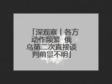 深观察丨各方动作频繁  俄乌第二次直接谈判前景不明