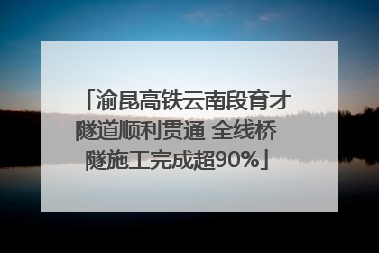 渝昆高铁云南段育才隧道顺利贯通 全线桥隧施工完成超90%
