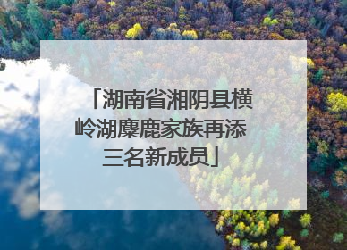 湖南省湘阴县横岭湖麋鹿家族再添三名新成员